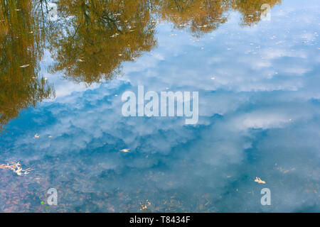 Autumn willows, sky and clouds reflected in water. Soft focus Stock Photo