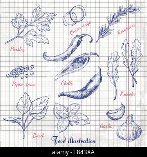 Set of spices in sketch style on paper. Vector illustration for your design Stock Vector