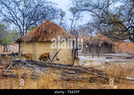 a small compound of mud huts in a village on  the border between Mozambique and West Malawi Stock Photo