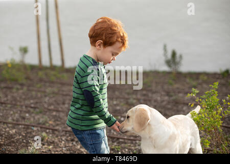 Boy giving pet puppy training treat Stock Photo