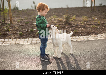 Boy giving pet puppy training treat Stock Photo
