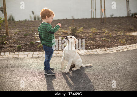 Boy giving pet puppy training treat Stock Photo