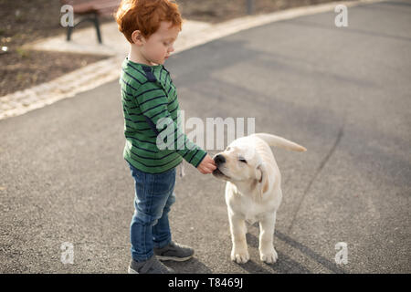 Boy giving pet puppy training treat Stock Photo