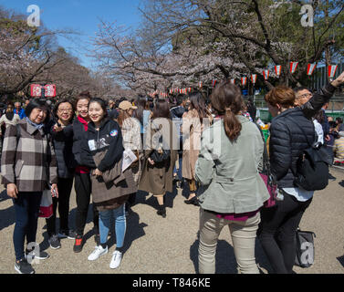 CHERRY BLOSSOM, TOKYO Stock Photo