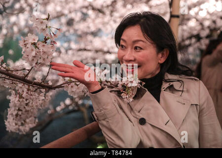 CHERRY BLOSSOM, TOKYO Stock Photo