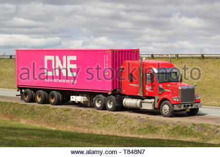 Heavy traffic with big rig semi trucks convoy going side by side with