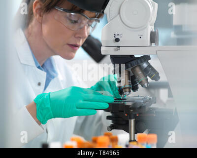Medical testing of variety of human samples including blood and tissue under microscope in laboratory Stock Photo