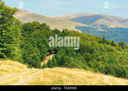 old country road through hills in to the primeval beech forest. nature scenery with trees along the way. sunny late summer landscape with clouds on a  Stock Photo