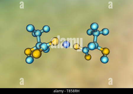 Calcium lactate, molecular model Stock Photo