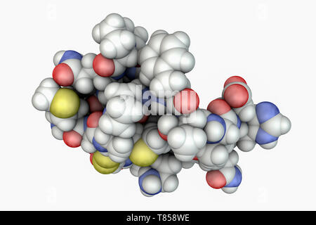 Molecule of scorpion chlorotoxin Stock Photo - Alamy