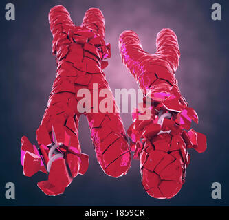 Defective X and Y chromosomes, illustration Stock Photo - Alamy