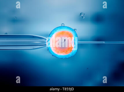 IVF, illustration Stock Photo