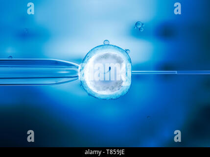 IVF, illustration Stock Photo