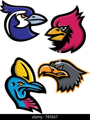 Mascot icon illustration set of heads of bird wildlife like the black throated magpie, cardinal, cassowary and the european eagle viewed from side  on Stock Vector