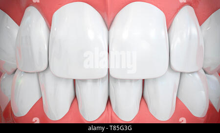 Human teeth, illustration Stock Photo