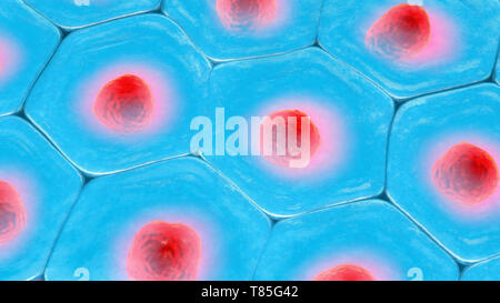 Cells, illustration Stock Photo