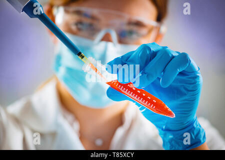 Pipetting sample Stock Photo