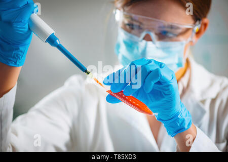 Pipetting sample Stock Photo