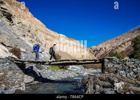 India, state of Jammu and Kashmir, Himalaya, Ladakh, Hemis National Park, trekking from Chilling to Chogdo in the Markha valley, hikers crossing a bridge over the Markha river near Sara Stock Photo