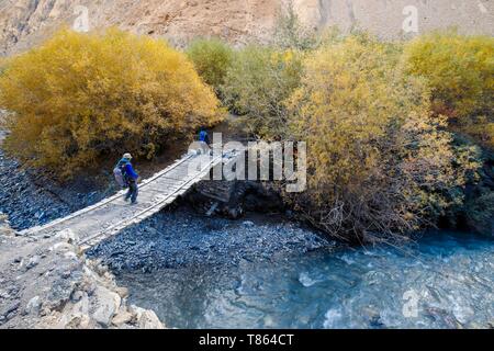 India, state of Jammu and Kashmir, Himalaya, Ladakh, Hemis National Park, trekking from Chilling to Chogdo in the Markha valley, hikers crossing a bridge over the Markha river Stock Photo