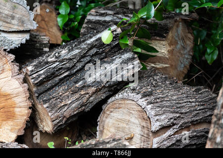 Rustic pile of chopped firewood in a backyard garden, big chunky logs with bark and wood grain Stock Photo
