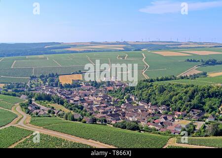 France, Yonne, Beine, the hillside, vintage wines of Chablis (aerial view) Stock Photo