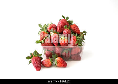 Fresh strawberry in shop plastic boxes, white background Stock Photo