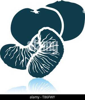 Mandarin Icon On Gray Background. Shadow Reflection Design. Vector Illustration. Stock Vector