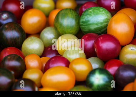Colorful cherry tomatoes on Biological Farmers' Market in Amsterdam, Netherlands Stock Photo