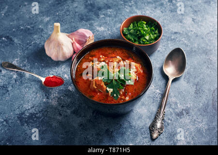 Kharcho soup - national Georgian cuisine dish with beef, rice, garlic and tkemali sauce. Traditional authentic Caucasian food Stock Photo