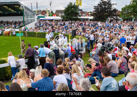Big crowd of people sitting by main arena in sun, watch Grand Cattle Parade (livestock & handlers) - The Great Yorkshire Show, Harrogate, England, UK. Stock Photo