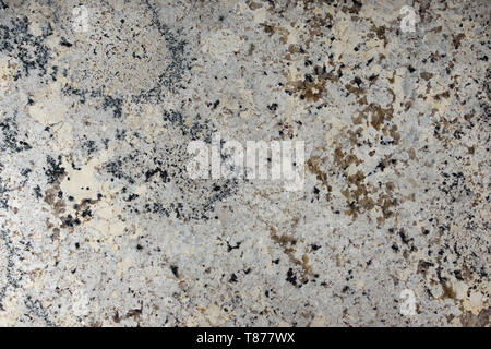 Natural polished gray granite with dark specks Stock Photo