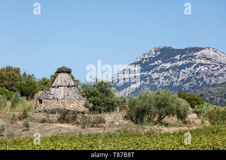 Italy, Sardinia, Nuoro Province, Dorgali, Supramonte di Urzulei, pineta (shepherd shelter) Stock Photo