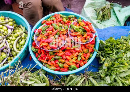 India, Nagaland, Kohima, market, the Buut Jolokia is the second hotest chilli in the world Stock Photo