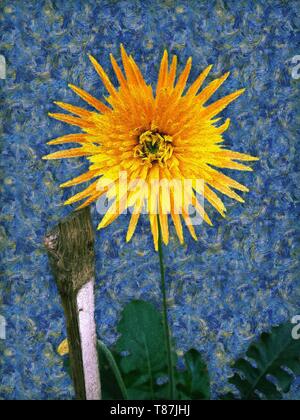 A yellow colour painting of Barberton daisy in the style of post-impressionist painter Vincent van Gogh. Stock Photo