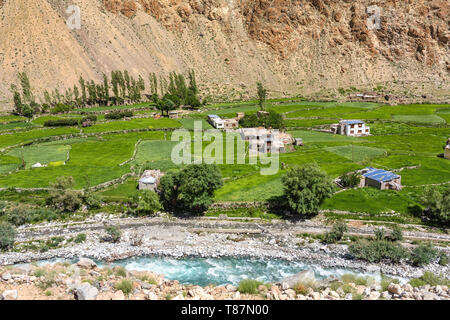 Green summer view of the Indus valley in Himalaya mountains in Ladakh Stock Photo