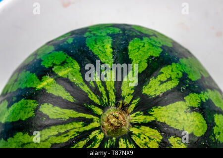 watermelon skin close up texture with copy space Stock Photo