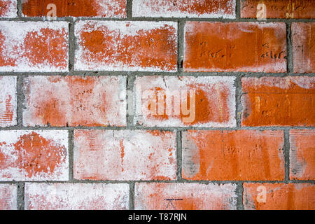 Red brick wall of newly built house showing white stains / coating due to efflorescence, migration of salt to the surface of a porous material Stock Photo