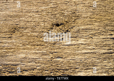 padded textured texture of an old, rotten tree Stock Photo