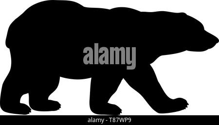 Polar bear cub wild black silhouette animal.  Stock Vector