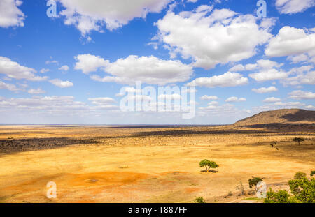 Aerial view on savannah plains in Tsavo park, Kenya Stock Photo