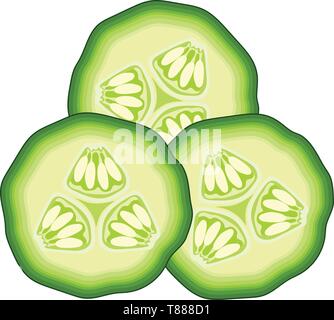 slices of green cucumber on white background. vector illustration Stock Vector