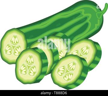 slices of green cucumber on white background. vector illustration Stock Vector