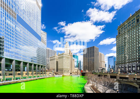 Chicago Skylines building along green dyeing river of Chicago River on St. Patrick's day festival in Chicago Downtown IL USA Stock Photo