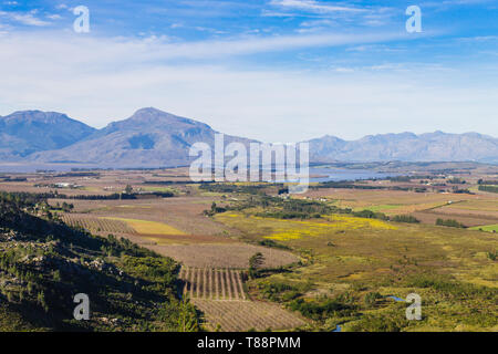 Panorama of a vineyard in the south of Franschhoek close to Cape Town. Stellenbosch. South Africa Stock Photo