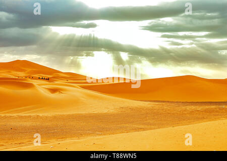 Caravan going through the sand dunes in the Sahara Desert, Morocco Stock Photo