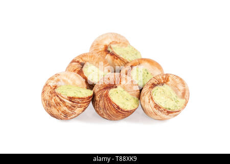 several frozen yellow-brown snails isolated on white background Stock Photo