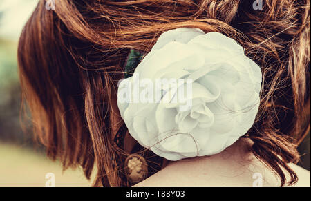 Rear view close-up of the great and white cotton flower decoration Stock Photo