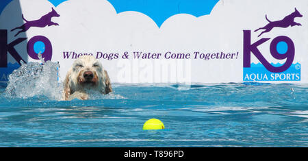 k9 aqua