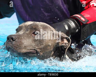 k9 aqua